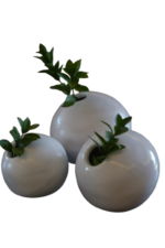 Vaso Fresh - Imagem 6