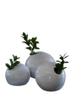 Vaso Fresh - Imagem 5